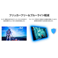 JAPANNEXT JN-MD-IPS105FHDPR 10．5型液晶ディスプレイ ブラック