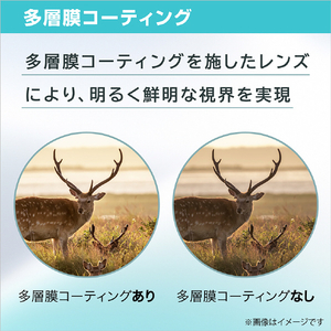 ニコン ACTION 8x42 A8X42-イメージ6
