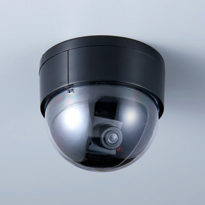旭電機化成 ドーム型防犯ダミーカメラ ADC-204-イメージ7