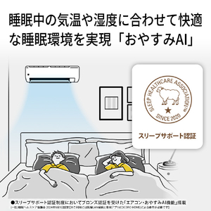 シャープ 「工事代金別」 6畳 フィルター自動清掃 エアコン e angle select プラズマクラスターエアコン Vシリーズ AY-22VE6S-イメージ14