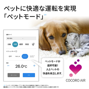 シャープ 「工事代金別」 6畳 フィルター自動清掃 エアコン e angle select プラズマクラスターエアコン Vシリーズ AY-22VE6S-イメージ17