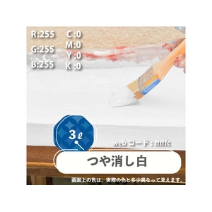カンペハピオ 水性シリコン遮熱屋根用 専用下塗り剤 3L FCB403M-イメージ3