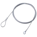 エレコム ワイヤー(直径3．8mm・1．0m) シルバー ESL-W1038