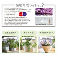 オーム電機 TT-YG04N1A-W 植物育成ライト 吊り下げ式 |エディオン公式通販