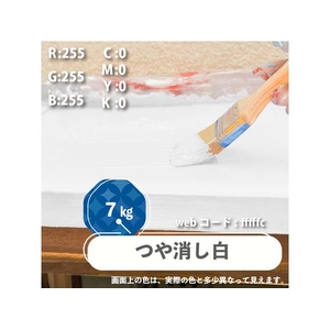 カンペハピオ 水性シリコン遮熱屋根用 専用下塗り剤 7K FCB404M-イメージ3