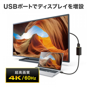 サンワサプライ USB Type-Cハブ付き HDMI変換アダプタ ブラック USB-3TCH34BK-イメージ9