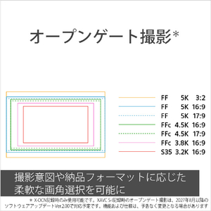 SONY Cinema Line カメラ ILME-FX5-イメージ6