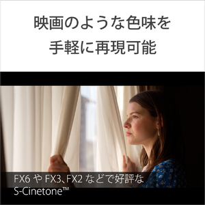 SONY Cinema Line カメラ ILME-FX5-イメージ8
