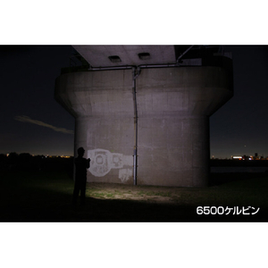 エルパ ワークライト(350ルーメン) エスジーバイジェントス SGWL-03R-イメージ10