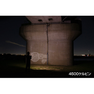エルパ ワークライト(350ルーメン) エスジーバイジェントス SGWL-03R-イメージ9