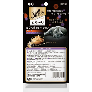 マースジャパン シーバ とろーりメルティ まぐろ味セレクション 12g×4本 FC572NP-イメージ2