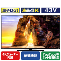 TOSHIBA/REGZA 43V型4Kチューナー内蔵4K対応液晶テレビ Z670Lシリーズ 43Z670L