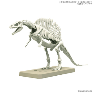 バンダイスピリッツ プラノサウルス スピノサウルス1915 ﾌﾟﾗﾉｻｳﾙｽG02ｽﾋﾟﾉｻｳﾙｽ1915-イメージ2