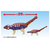 タカラトミー 冒険大陸 アニアキングダム ビッグアニア ゴッツ(アンキロサウルス) ｱﾆｱKDﾋﾞﾂｸﾞｱﾆｱｺﾞﾂｿｱﾝｷﾛｻｳﾙｽ-イメージ2