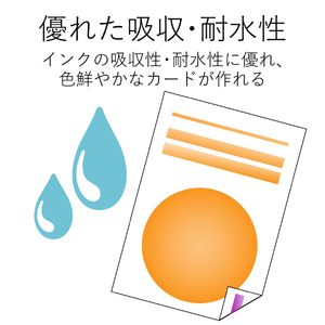 エレコム DVDアクセサリー EDT-SDVDM1-イメージ4