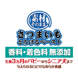 ペティオ 素材そのまま さつまいも とろけるペースト 18本入 FCC9278-イメージ4