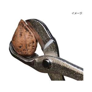 古沢製作所 和くるみ割(ほじくるみん付) FC619SL-071130-イメージ4