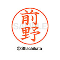 シヤチハタ ネームペン用ネーム シルバー 既製 前野 FC47573-X-GPS-1802