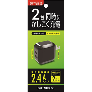 グリーンハウス 2ポートAC充電器 2．4A GREENHOUSE ブラック GH-ACU2H-BK-イメージ2