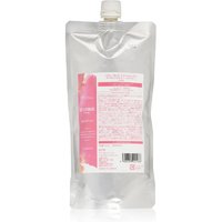 DEMI COSMETICS ヘアシーズンズ アロマシロップス シャンプー アイランドフラワー450ML詰替 ｱﾛﾏｼﾛﾌﾟｱｲﾗﾌﾗｼﾔﾝﾌﾟ450MLﾂ