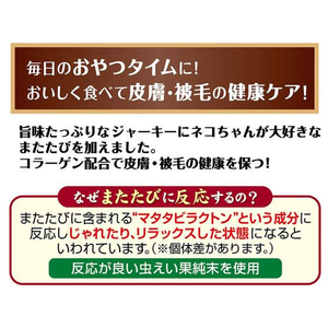 ペティオ またたびプラス またたびジャーキー まぐろ味 25g FCC9279-イメージ4