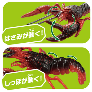 タカラトミー アニア AL-31 アメリカザリガニ ｱﾆｱAL31ｱﾒﾘｶｻﾞﾘｶﾞﾆ-イメージ6