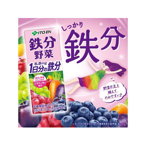伊藤園 鉄分野菜 1日分の鉄分 200mL×48本 FCJ432L-イメージ4