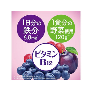 伊藤園 鉄分野菜 1日分の鉄分 200mL×48本 FCJ432L-イメージ5