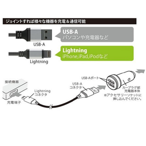 AXS 3．1A USBチャージャー&Lightningケーブル ゴールド X-250-イメージ3