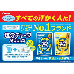 カバヤ食品 塩分チャージタブレッツ 塩レモン 81g FC484YM-イメージ2