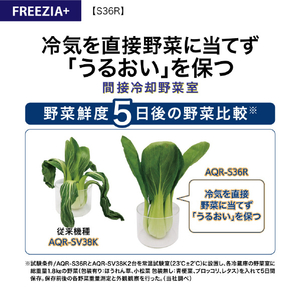 AQUA 【右開き】362L 4ドア冷蔵庫 フリージア・プラス ブライトシャンパン AQR-S36R(N)-イメージ13