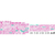 ペットプロジャパン HappyDays Cherie チキンムース 子猫用 80g FCE821T-イメージ9
