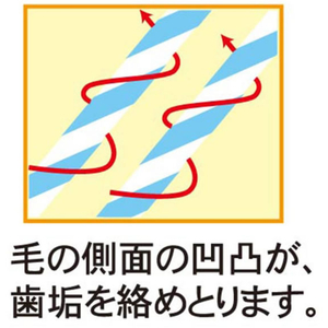 日本クリンテック エコデント歯ブラシスパイラルツイン毛コンパクトヘッド薄型ふつう3本 FCG059Y-M-4907-イメージ8