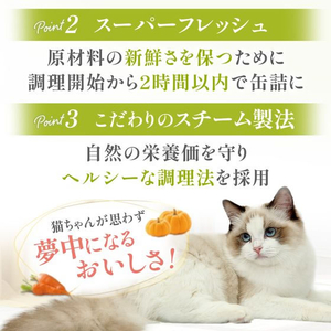 ペットプロジャパン HappyDays Cherie チキン&かぼちゃinグレービー 下部尿路の健康維持 成猫用 80g FCE823T-イメージ8