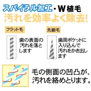 日本クリンテック エコデント歯ブラシスパイラルツイン毛レギュラーヘッド薄型ふつう3本 FCG060Y-M-4914-イメージ7