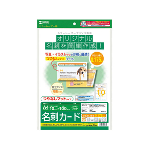 サンワサプライ カラーレーザー用名刺 つやなし マット A4 10面 10枚 FC63796-LBP-MMC10N-イメージ1