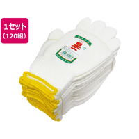 ミタニコーポレーション 日本一DX 120組 F043218-202783