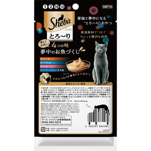 マースジャパン シーバ とろーりメルティ 4つの味 夢中のお魚づくし 12g×4本 FC582NP-イメージ2