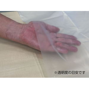 Forestway ゴミ袋薄手 半透明 70L 10枚 FC890NS-FRW200819-イメージ3