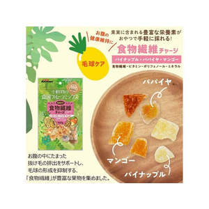 ドギーマン 小動物の南国フルーツミックス 食物繊維チャージ 100g FCS2397-イメージ3