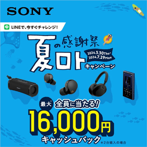 SONY ワイヤレスノイズキャンセリングステレオヘッドセット ブラック WH-1000XM5 B-イメージ2