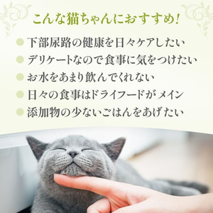 ペットプロジャパン HappyDays Cherie まぐろ&にんじんinグレービー 下部尿路の健康維持 成猫用 80g FCE824T-イメージ6