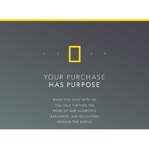 National Geographic iPhone 12 mini用マガジン クリアケース Cool It NG20256I12-イメージ3