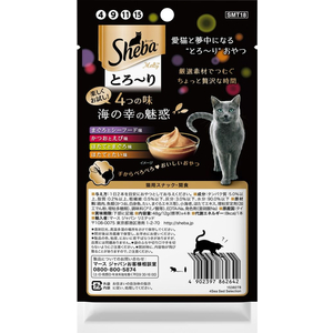 マースジャパン シーバ とろーりメルティ 4つの味 海の幸の魅惑 12g×4本 FC584NP-イメージ2