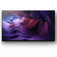 SONY BRAVIA 48V型4K 有機ELテレビKJ-48A9S SONY KJ-48A9S 48V型4Kチューナー内蔵4K対応有機ELテレビ BRAVIA A9S
