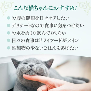 ペットプロジャパン HappyDays Cherie まぐろ&キウイinグレービー お腹の健康維持 成猫用 80g FCE826T-イメージ6