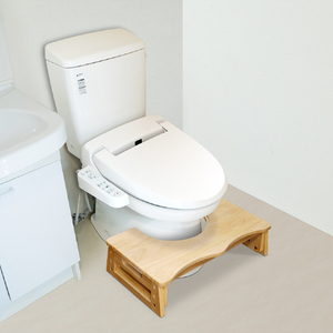 シモオカ プラティカトイレステップ PNﾄｲﾚｽﾃﾂﾌﾟ295NA-イメージ3