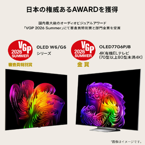 LGエレクトロニクス 77V型4Kチューナー内蔵4K対応有機ELテレビ OLED77G6PJB-イメージ2