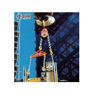 象印チェンブロック チェーンエコライザー6ton FC923HF-3901971-イメージ2