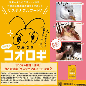 ドギーマン 小動物のやみつきコオロギ プレーン 25g FCS2399-イメージ2